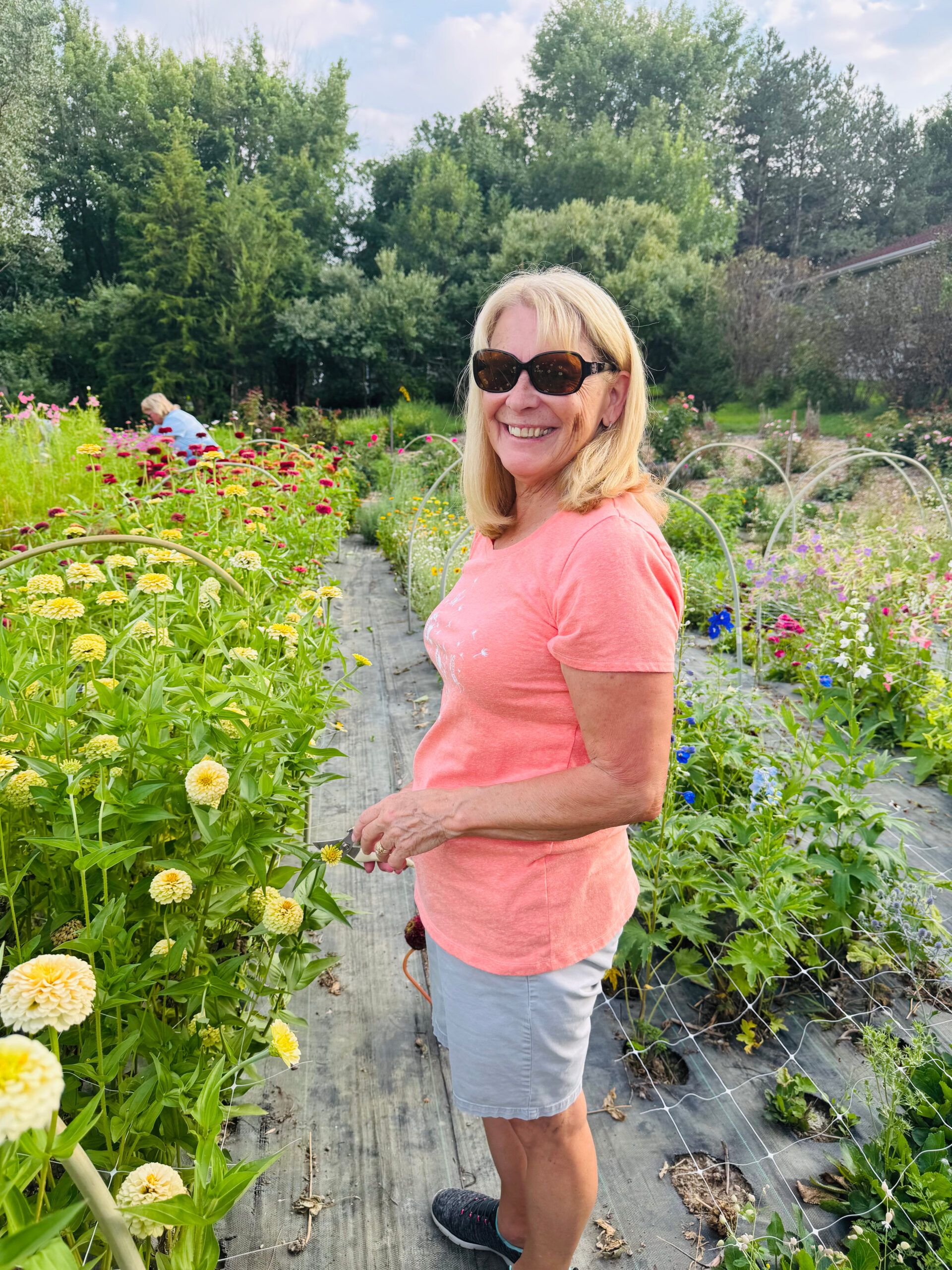 a2a19fd3 fe6a 4bac a42c beacae8c0fd7