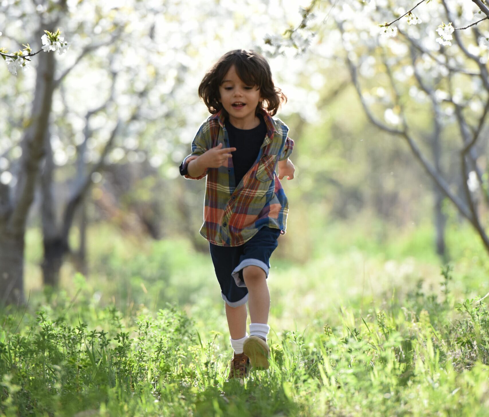 Happy child running in a sunlit orchard during springtime, surrounded by blooming trees.