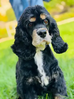 55153657 2ba2 4487 9638 6f10d2766781