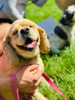 7bcab39b 92b5 41e5 86d6 f3cc5bb4aead